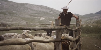 Gora se ne bo premaknila - Foto: Petra Pan film