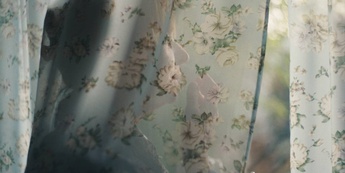 Veter v krila - Foto: Danko Vučinović