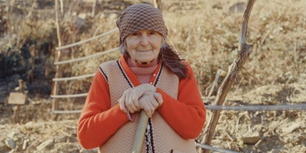 Navadna hruška - Foto: Nosorogi