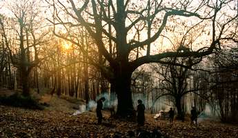 Zgodbe iz kostanjevih gozdov - Foto: Zavod Nosorogi