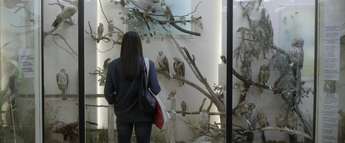 Gym - Foto: Iridium Film