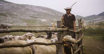 Gora se ne bo premaknila - Foto: Petra Pan film