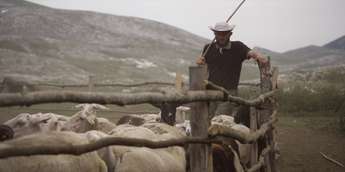 Gora se ne bo premaknila - Foto: Petra Pan film