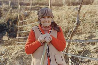 Navadna hruška - Foto: Nosorogi