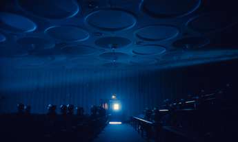 Navadna hruška - Foto: Nosorogi