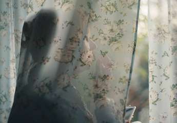 Veter v krila - Foto: Danko Vučinović